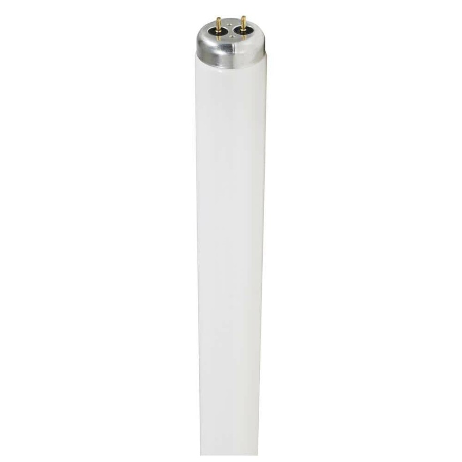 Light Bulbs * | 40-Watt 4 Ft. Linear T12 Fluorescent Tube Light Bulb Cool White (10-Pack) By Sylvania